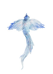 Blue birld flying watercolor painted illustration isolated on white