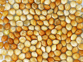Millet seeds - feed for birds, close up, top view