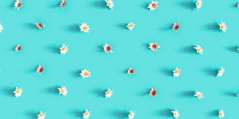 Chamomile flower pattern on turquoise blue background 3D Rendering, 3D Illustration