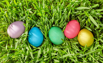 Easter eggs hunt