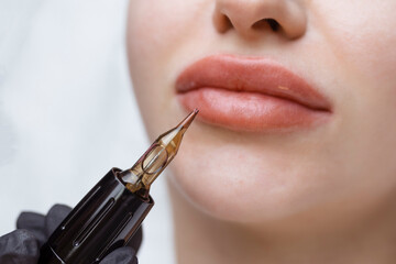 Cosmetologist makes permanent makeup on a woman's face. Specialist applies a tattoo on the...
