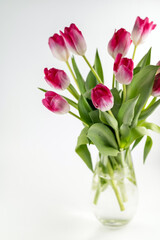 On a white background, a blurred image of a bouquet of pink tulips in a glass vase.
