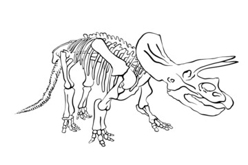 Obraz premium vector dinosaur skeleton triceratops