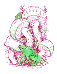 Hand drawn illustration with toad and mushrooms.