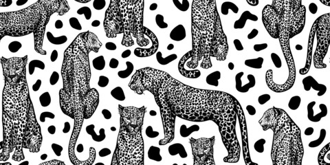 Leopard animal seamless pattern on spotted background. Retro savannah animals in engraving style.