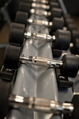 Naklejka premium Dumbbells with silver handles and black rubber end plates on a rack, shallow depth of field.