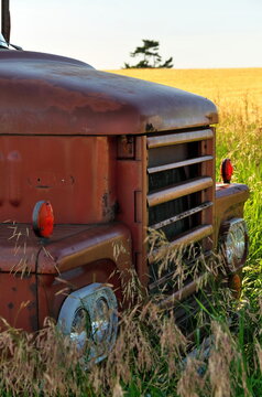 Close up of Front Grill of Abandoned Vintage and Rusty Truck in a Field on a Sunny Day