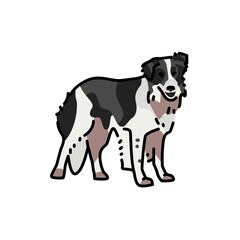 Border Collie color line icon. Dog breed.