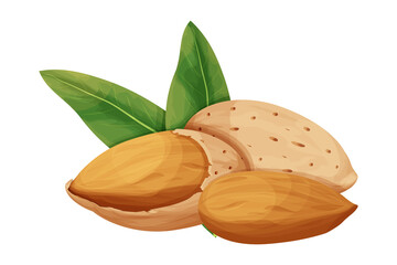 Almond in nutshell with leaves detailed raw nut, organic product, ingredient in cartoon style isolated on white background. Ripe plant, snack.