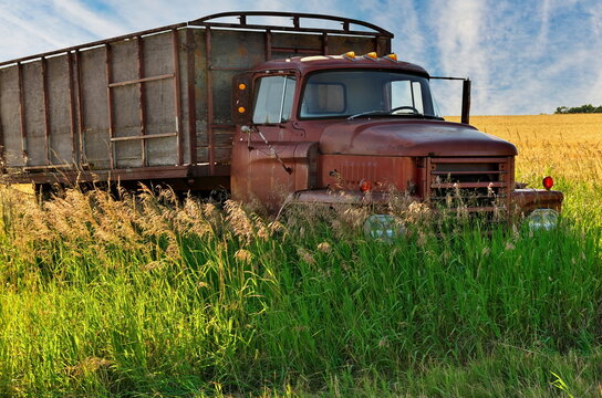 Abandoned Vintage and Rusty Truck in a Field on a Sunny Day