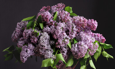 Bouquet of lilac close-up as a background.