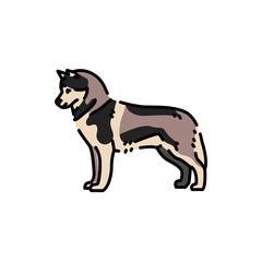 Siberian Husky color line icon. Dog breed.