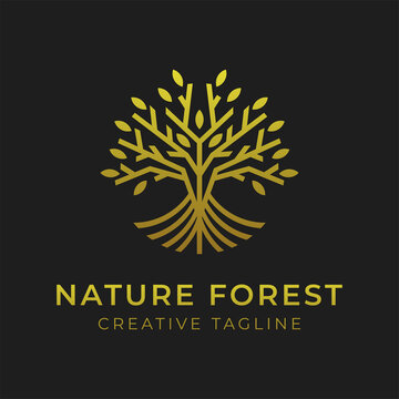 Luxury simple tree lines logo design