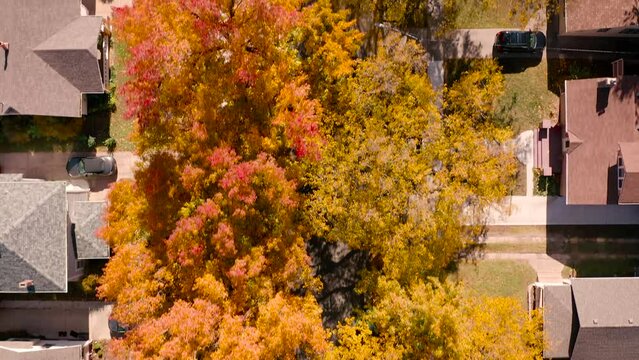 4K Overhead Drone Shot Of Riverside Neighborhood With Colored Trees In Autumn In Wichita Kansas