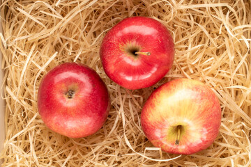Three sweet organic, red apples on wood shavings, macro, top view.

