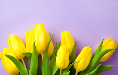Obraz premium top view on yellow tulips against pastel purple background.Easter,women's day.mother's day.