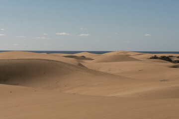 Obraz na płótnie Canvas Vista de las dunas de Maspalomas en la isla de Gran Canaria, España