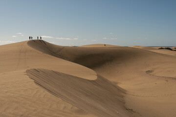 Fototapeta na wymiar Vista de las dunas de Maspalomas en la isla de Gran Canaria, España