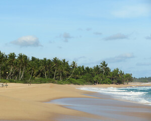 Wild beach in Sri Lanka
