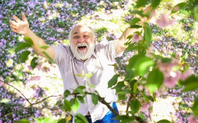 Come with me. Human emotions and expressions. Very old man portrait. thinking about youth in park or garden. happy man under spring sakura blossom. senior man looking up. good memories of past