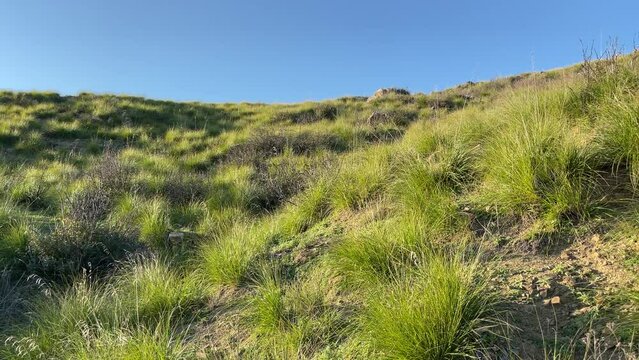 The hill of Castellabate, Italy