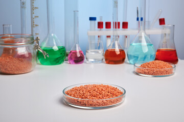 Red lentils in a Petri dish on chemical lab desk. Chemical analysis of red lentils. Test for GMO ingredients in organic red lentil seeds. Safety control of nutrients. Colorful liquids in flasks.