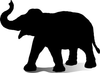 Black and white vector silhouette of an adult elephant with its trunk up. Isolated on white background.
