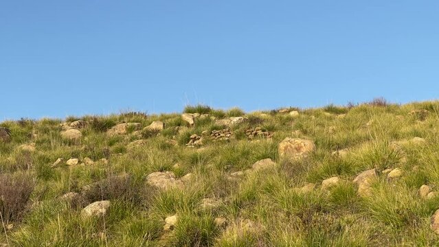 The hill of Castellabate, Italy