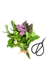Fresh herb bunch tied with string for drying and used in food seasoning and herbal plant medicine to treat various illnesses. On white background, flat lay, top view.