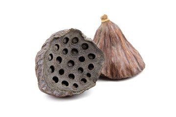 Dried lotus flower seed pods isolated on white