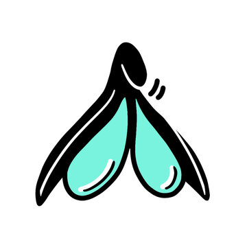 Clitoris