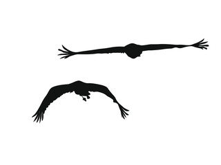 Grafika wektorowa przedstawiająca czarną sylwetkę lecącego żurawia.