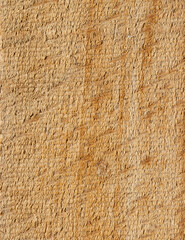 Natural textured background- wood texture.