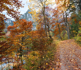 autumnal walkway along lake Laudachsee, katzenstein mountain, austrian alps
