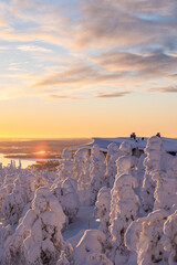 Landscape, sunrise over a snowy forest and lake in Lapland.Colorful sky in the rays of the sun and...