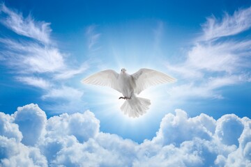 Holy Spirit came down in bodily shape, like dove. Bright light shines from heaven, white dove is symbol of purity and peace - obrazy, fototapety, plakaty