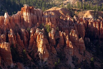 Hoodoos and trees in southern Utah