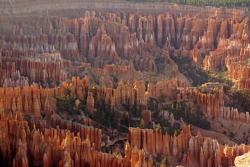 Basin of hoodoos in southern Utah