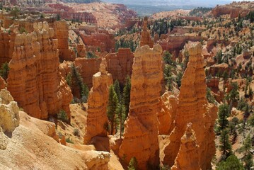Red hoodoos in southern Utah