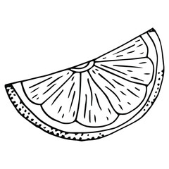 doodle icon. lemon. vector illustration