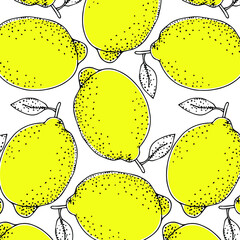Fresh yellow fruits of lemon, lime, with green leaves and flowers. Seamless citrus texture on a white background. Whole lemon slice. Doodle Minimal Style. Black line. Vector illustration. Handwriting.