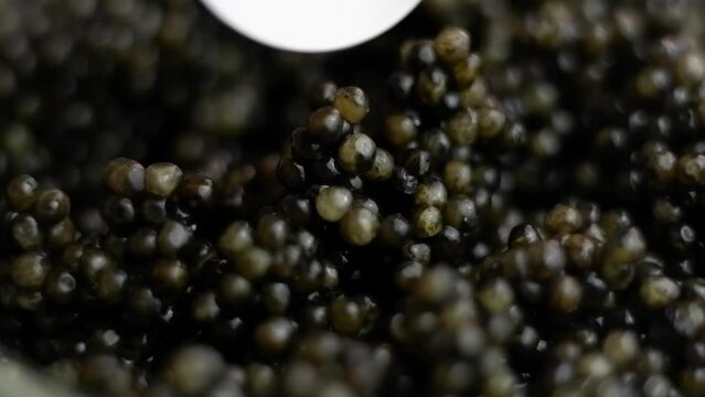 A small amount of black caviar. Mixing caviar with a spoon.
