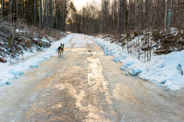 icy road with slippery surfaces