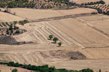 Fototapeta na wymiar Agricultural fields on a hilly area after the harvest. Rare trees. High vantage point.