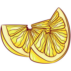 Vector cartoon illustration of two pieces of lemon isolated on white. Sliced citrus, organic product. Lemon wedges. Food Icon. Design for cookbook, restaurant business.