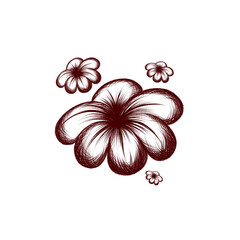 Sketch illustration flowers river lilies