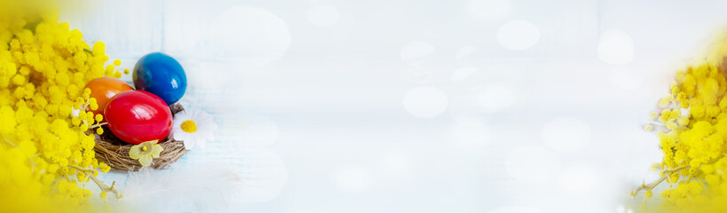 Wooden brightly colored Easter eggs with a feather and mimosa flowers. Easter eggs on a blue wooden background top view. Copy space.