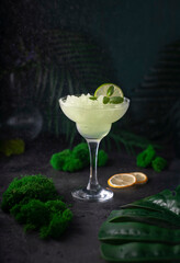 cocktail with lime and mint around palm leaves and moss