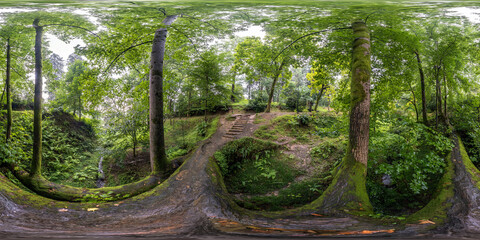full seamless spherical hdr panorama 360 degrees angle view on fallen tree among bushes of forest or park with stairs in equirectangular projection, ready VR AR virtual reality content