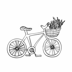 Fototapeta na wymiar Line Bicycle with basket of flowers in doodle style. Hand drawn vector illustration isolated on white